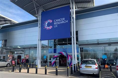 Charity Jobs in Swansea City .